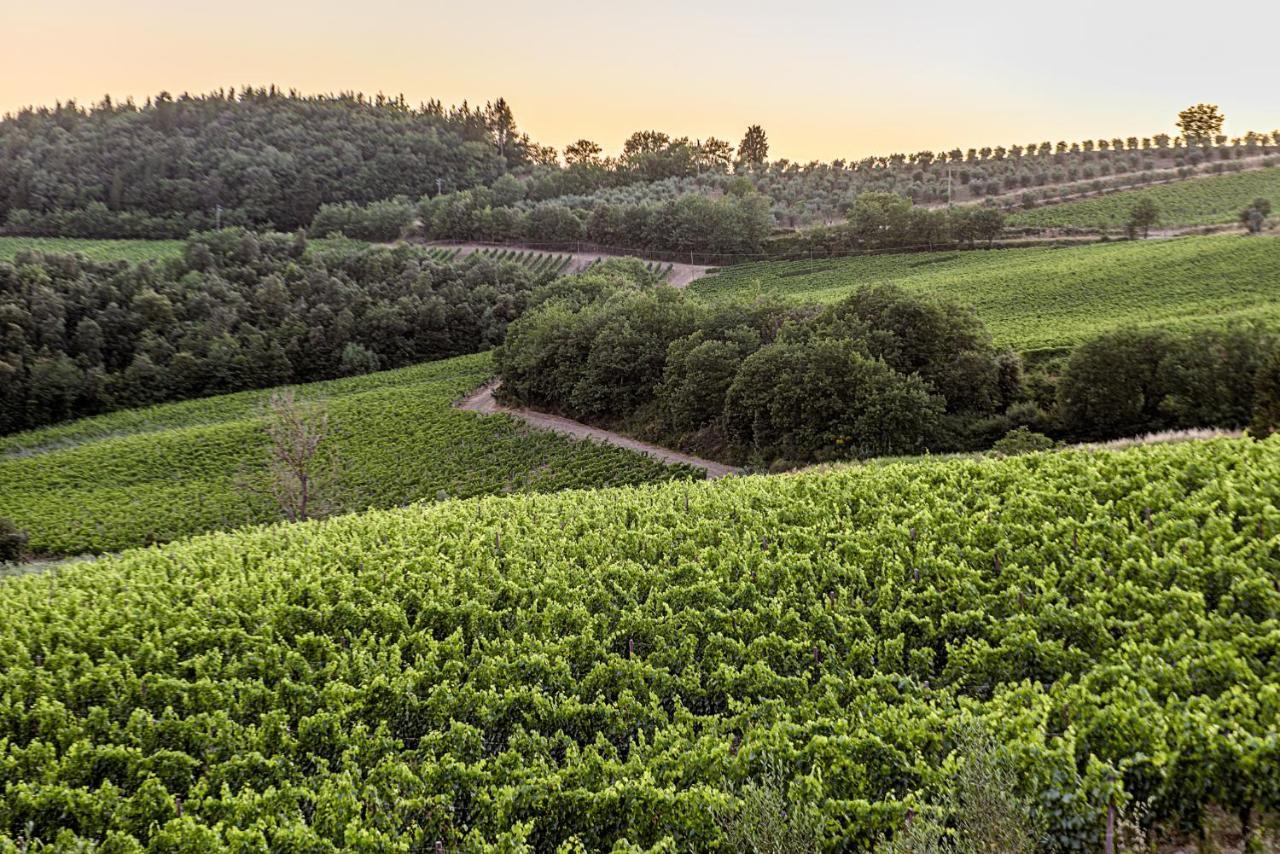 Agriturismo Casa al Bosco Villa Castellina in Chianti Esterno foto
