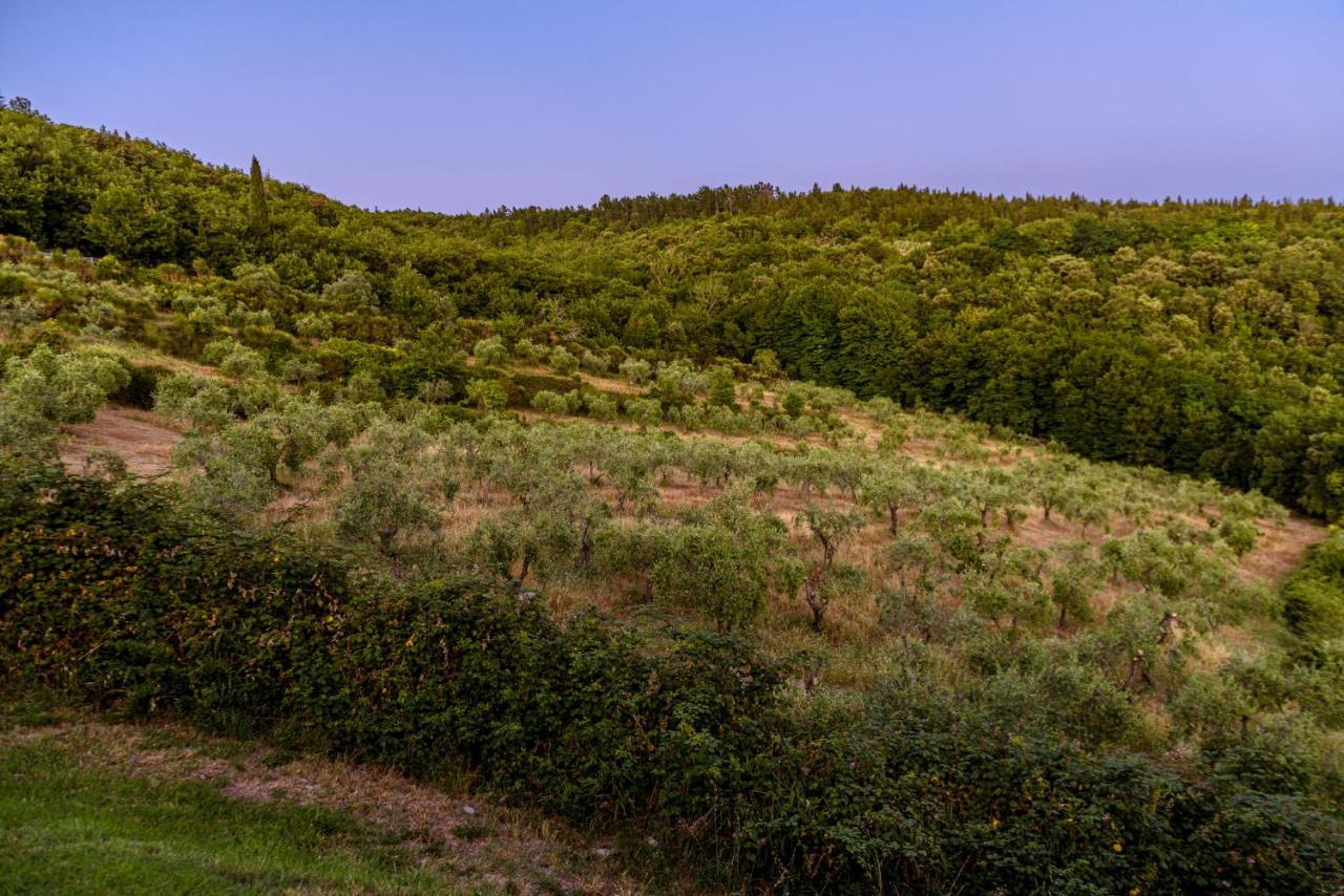 Agriturismo Casa al Bosco Villa Castellina in Chianti Esterno foto